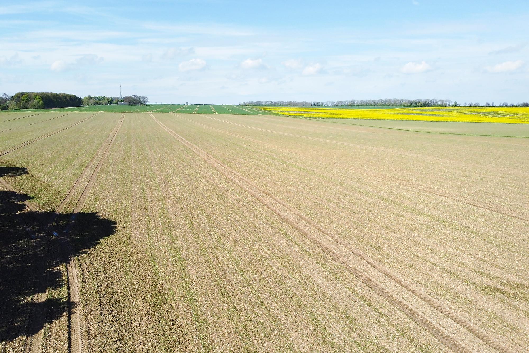  High Hunsley Farm , High Hunsley, Cottingham