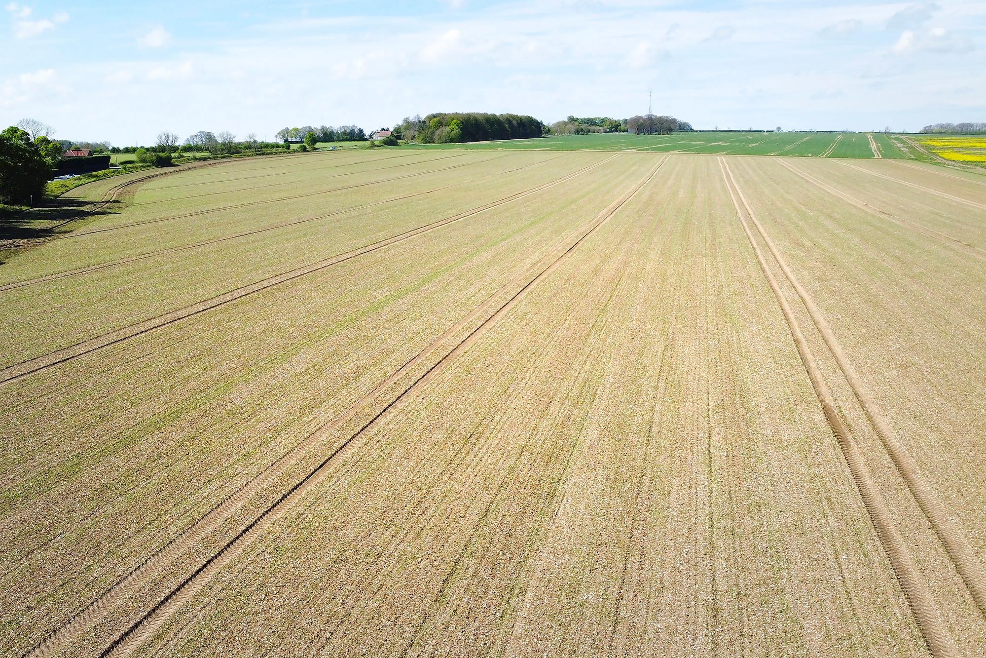  High Hunsley Farm , High Hunsley, Cottingham