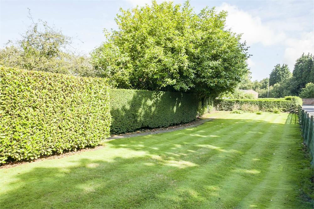 *The Cottage High Street, Carlton, Goole