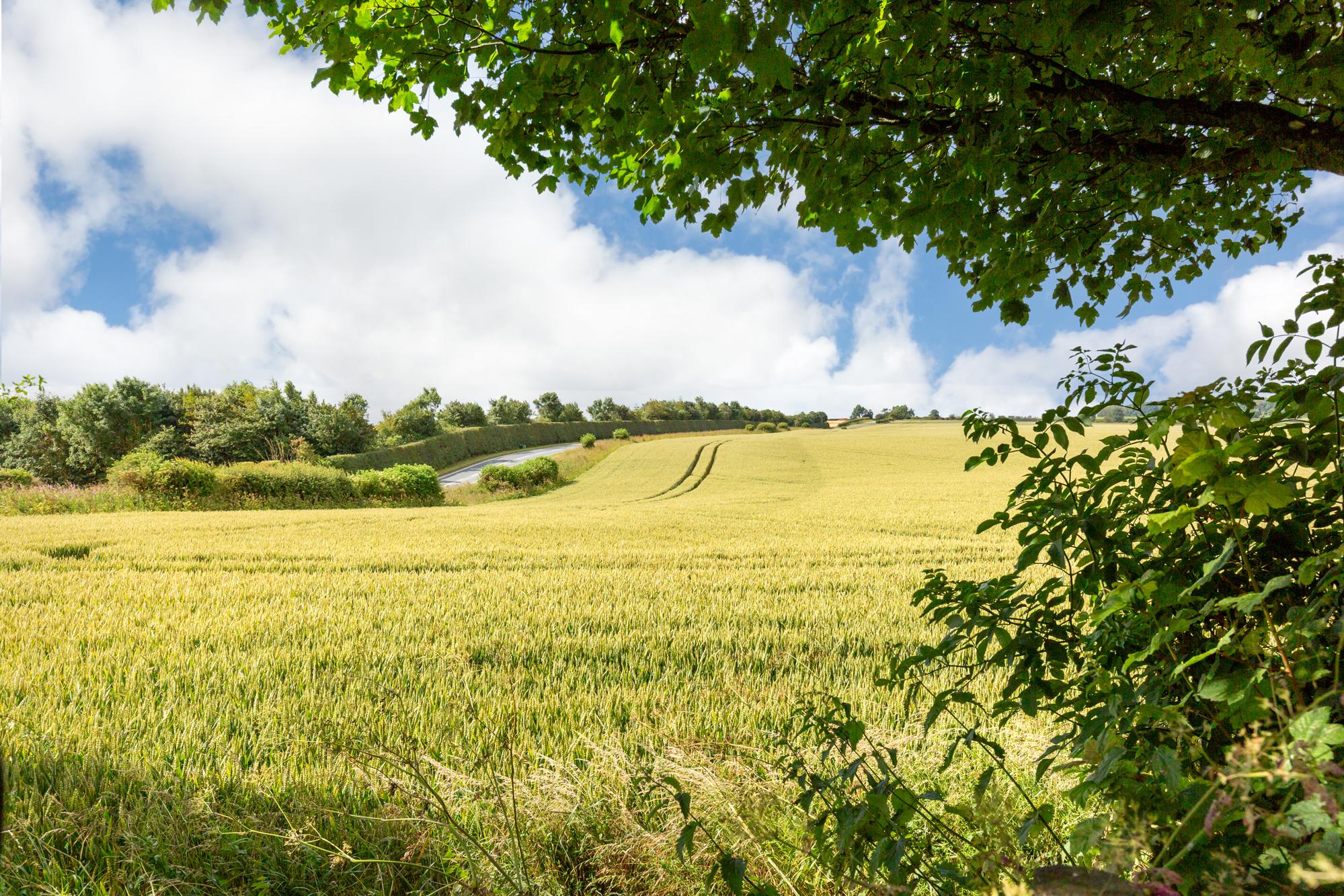 Greenwick Lodge Garrowby Hill, Bishop Wilton, York