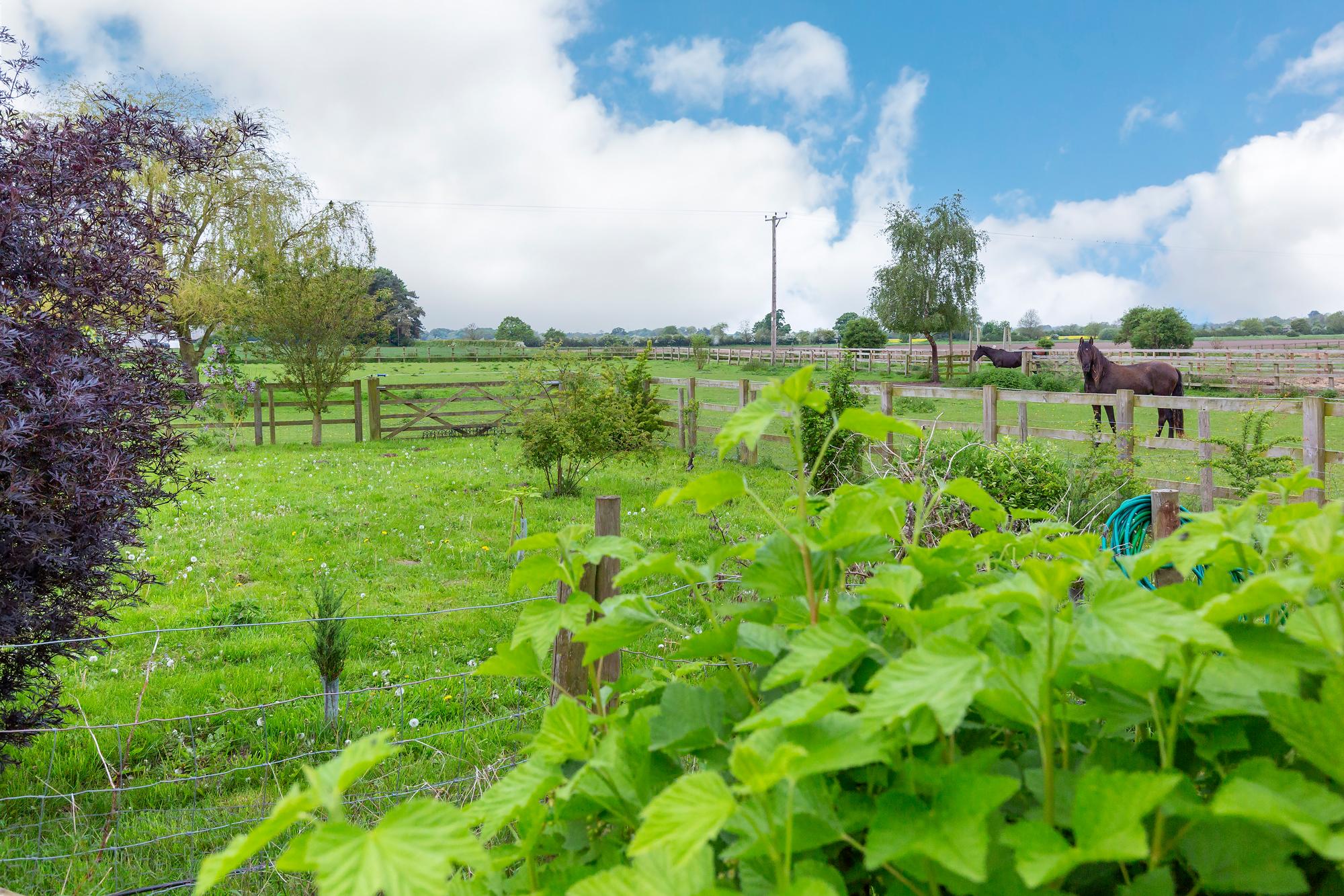 5 Broadlands, Bolton, York