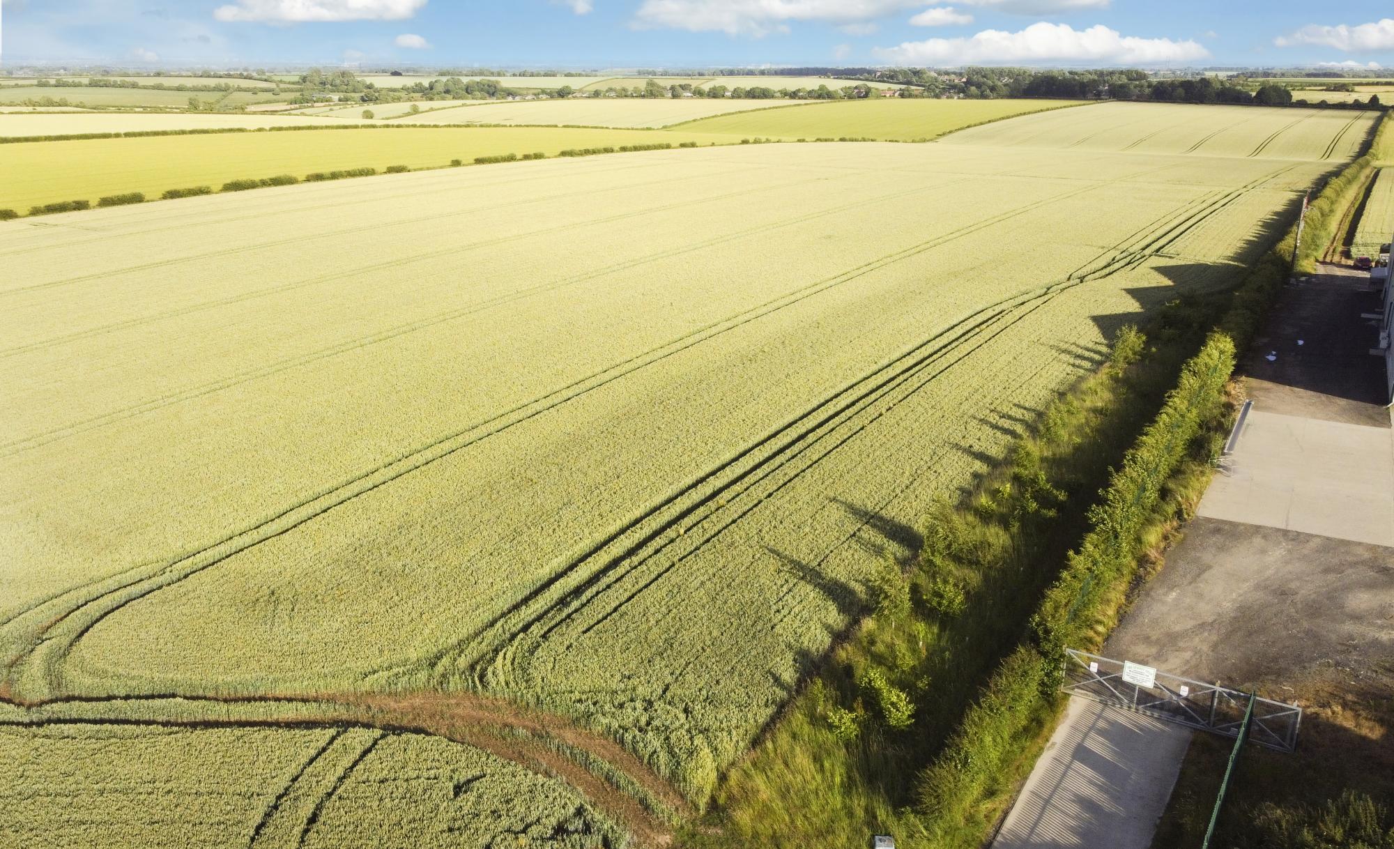Land at Little Weighton  White Gap Road, Little Weighton, Cottingham