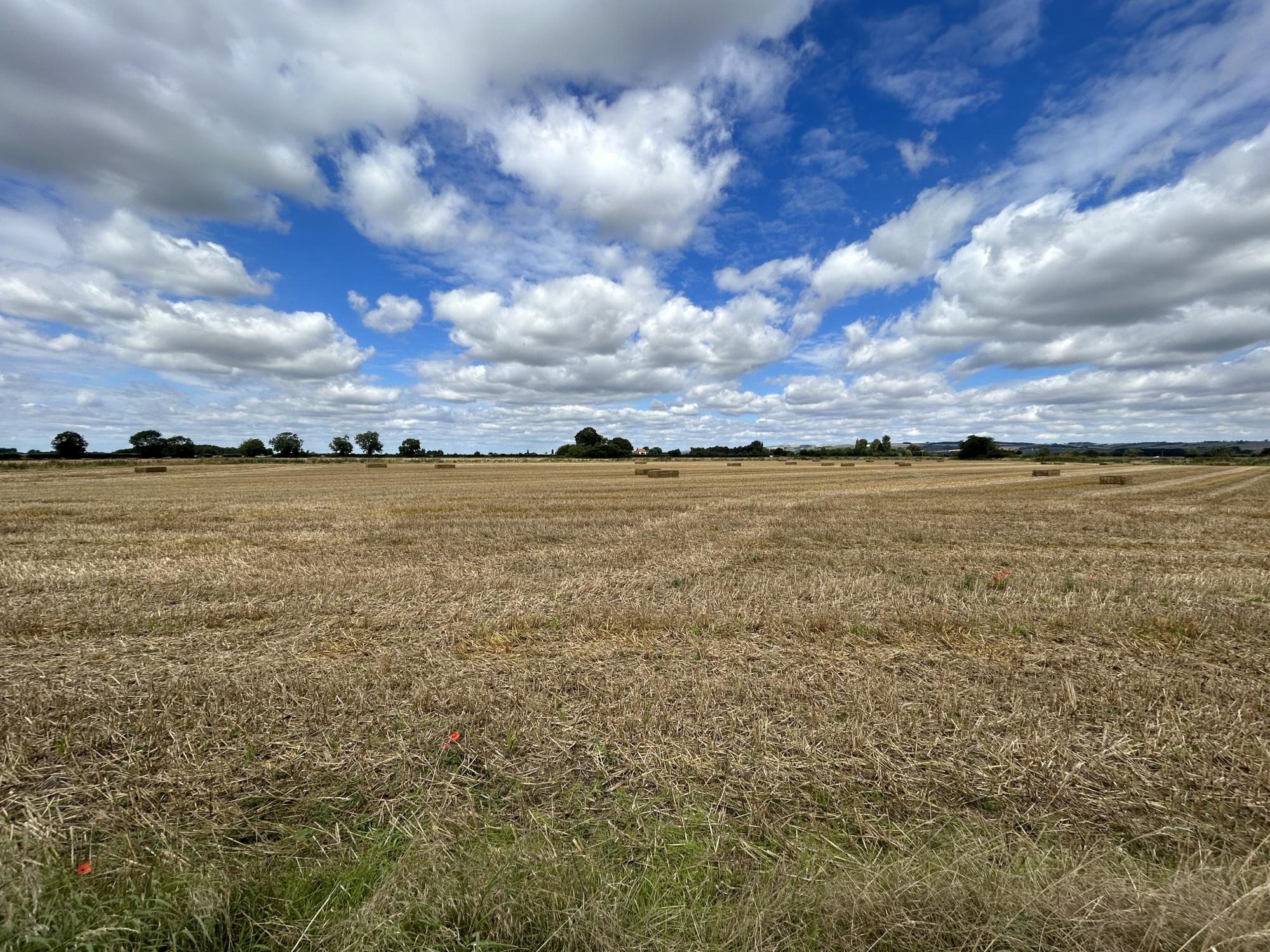 Land on Barmby Road Barmby Road, Pocklington 