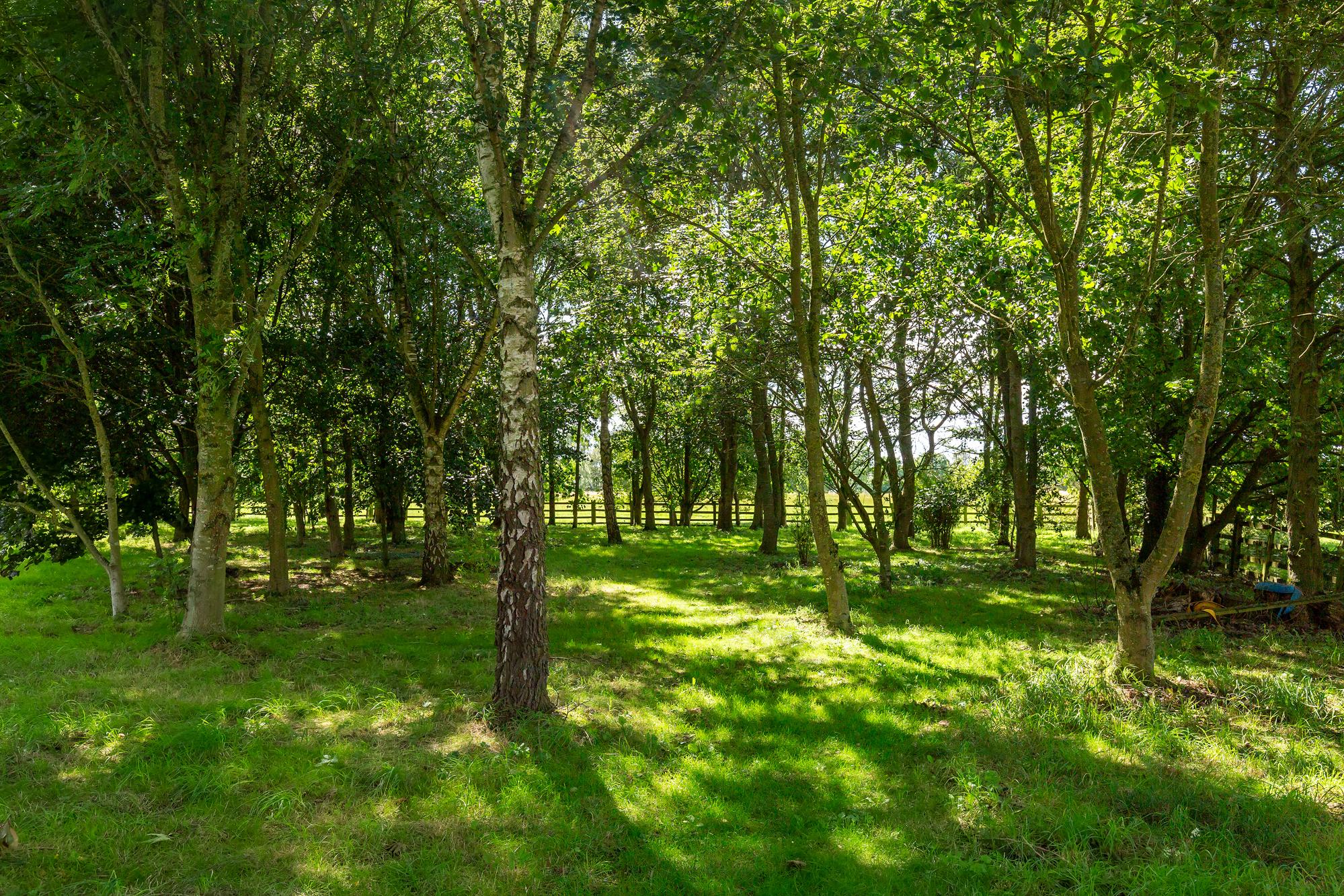 Thorndale Dauby Lane, Elvington, York