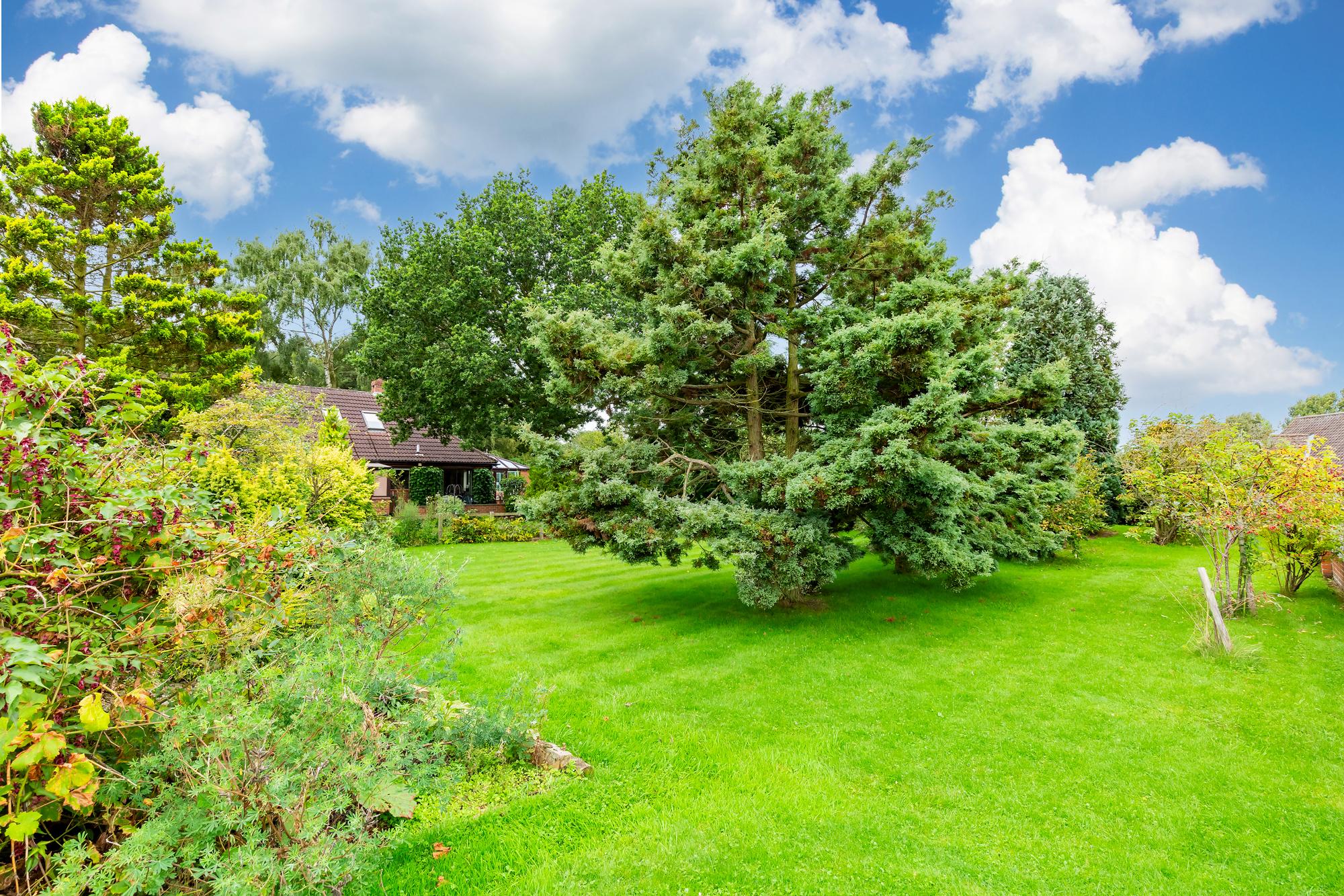 **18 Church Road, Stamford Bridge, York