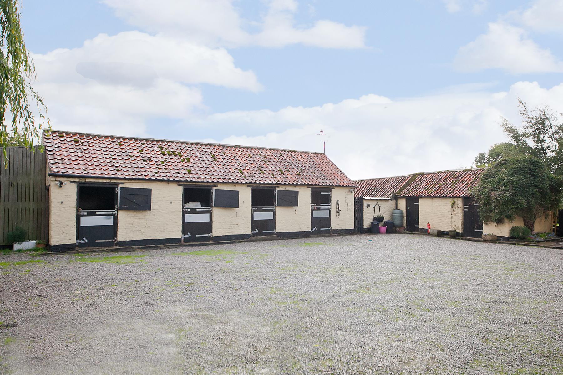 Hackamore Water End, Holme-on-spalding-Moor, York