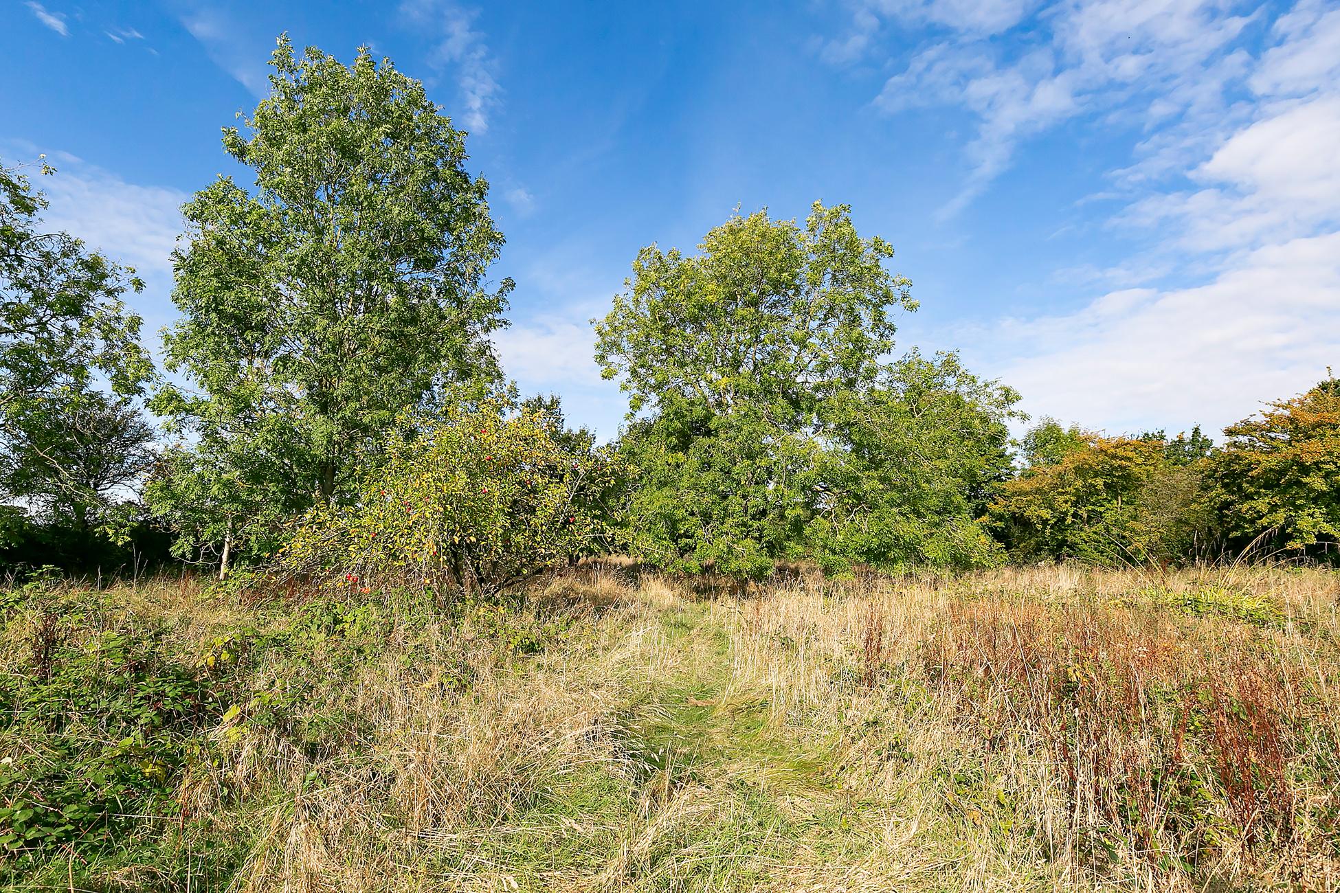 Moorlyn Stockton Lane, , York