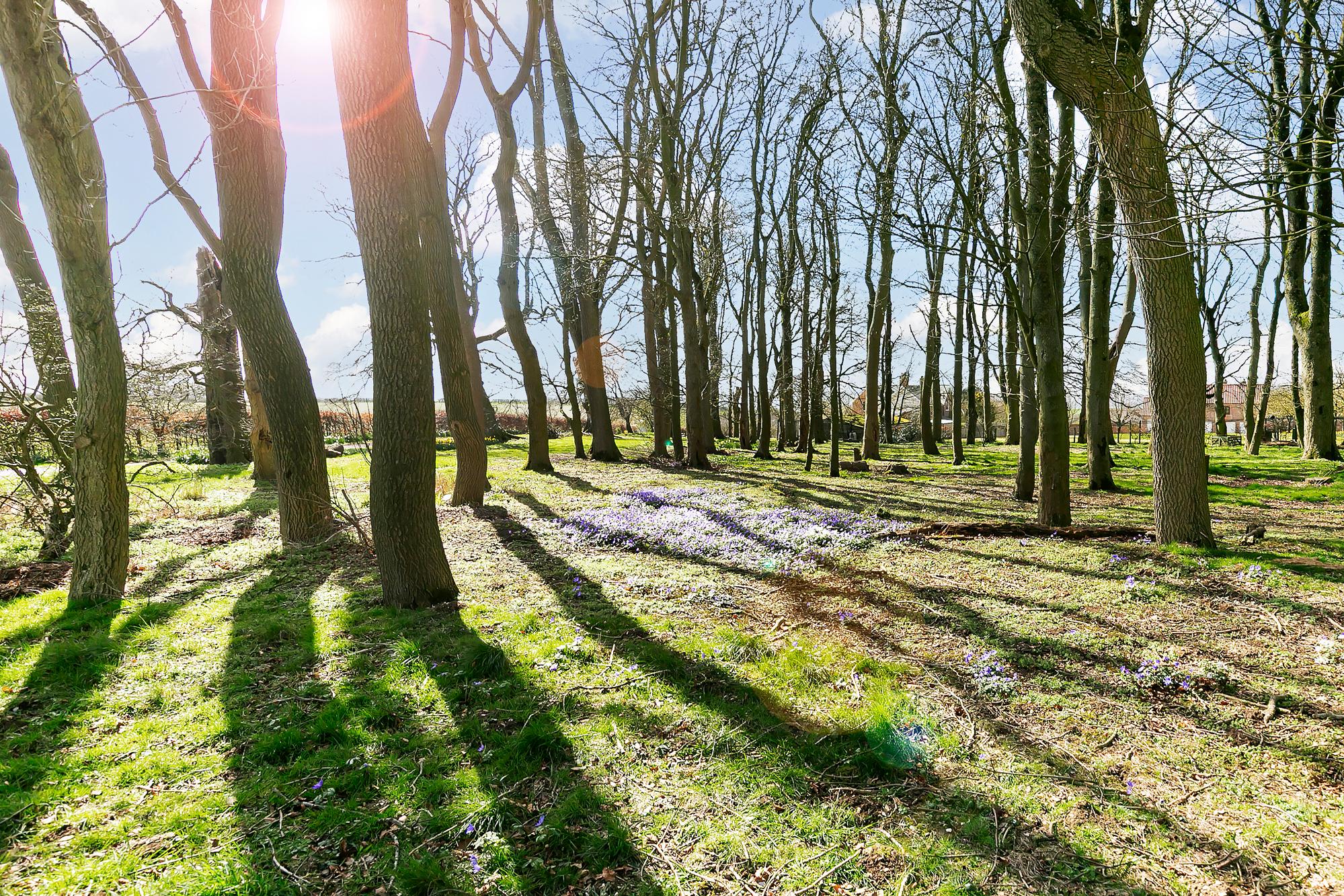 Millington Grange Millington, Givendale Hill, York