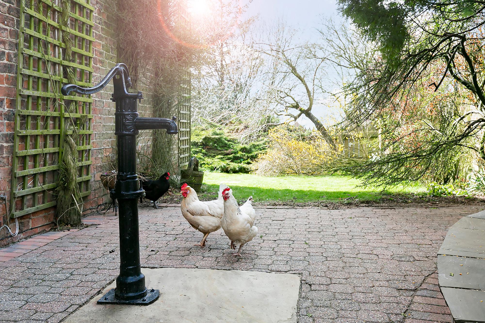 Millington Grange Millington, Givendale Hill, York