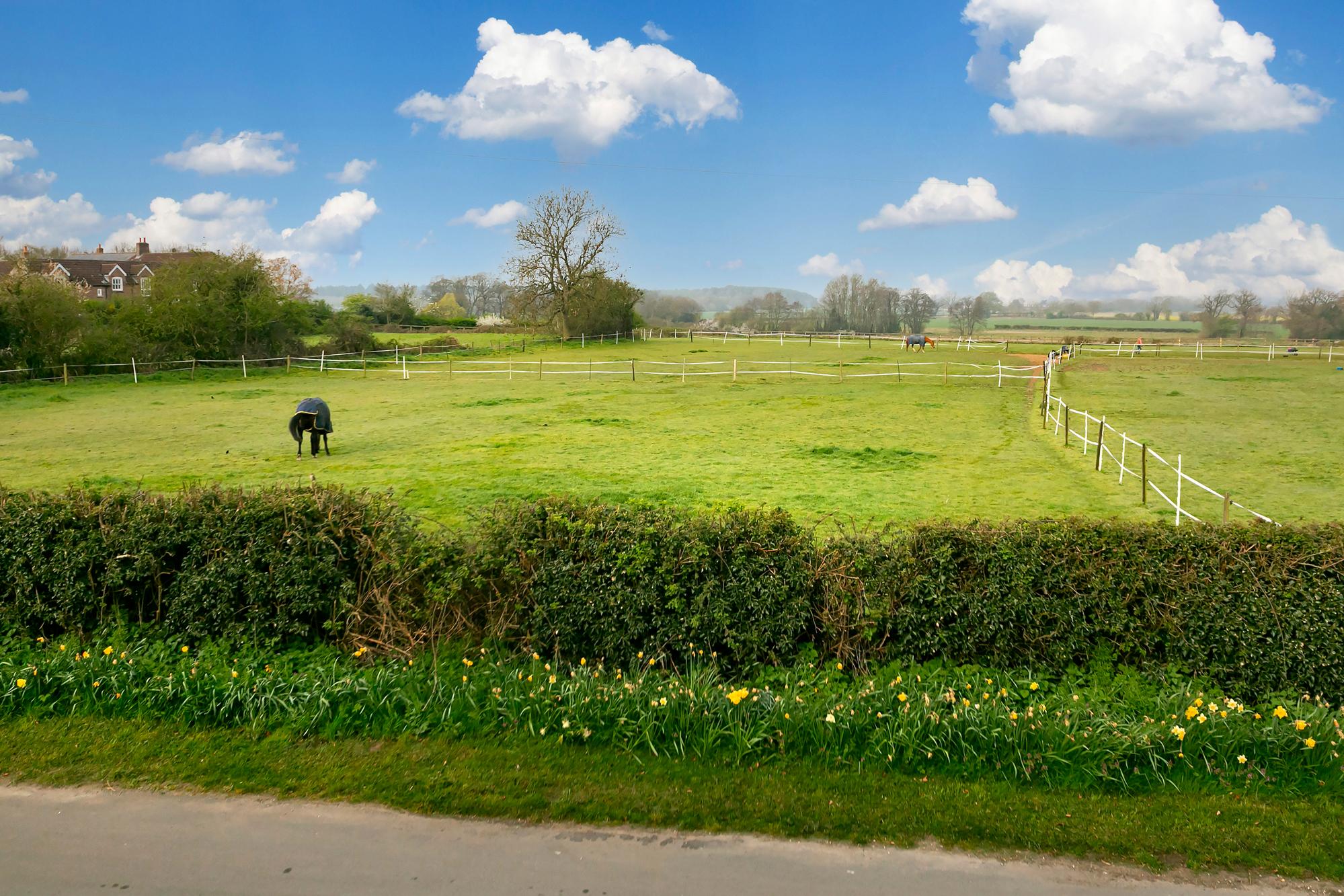 1 Ash Close  Main Street, Newton on Derwent, York