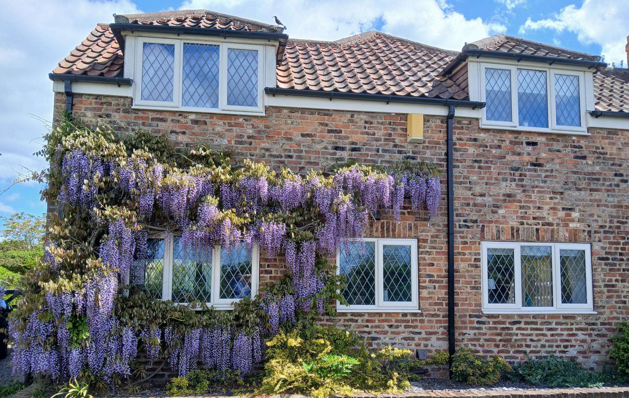 1 Ash Close  Main Street, Newton on Derwent, York