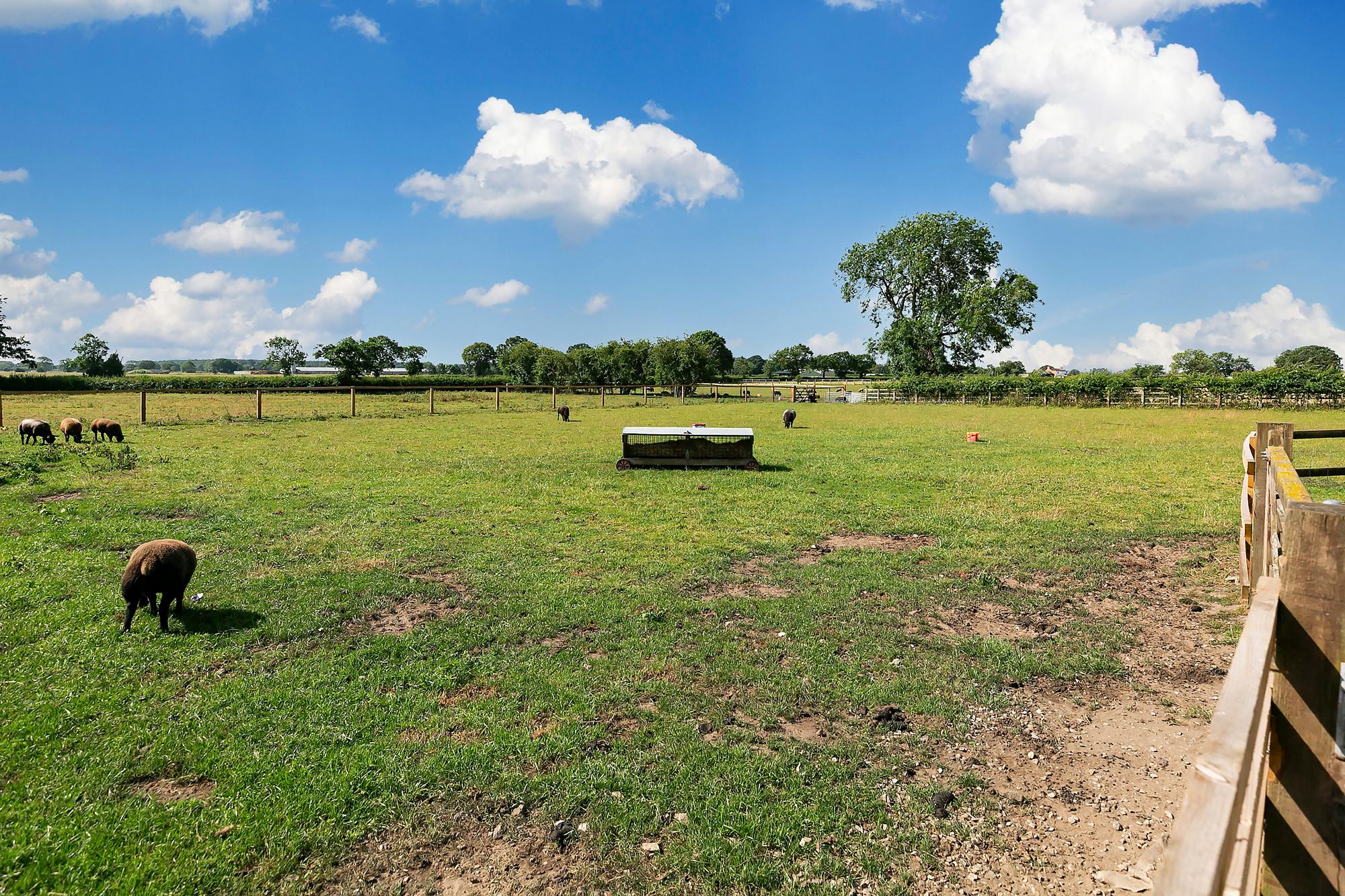Hackamore Water End, Holme-on-Spalding-Moor, York