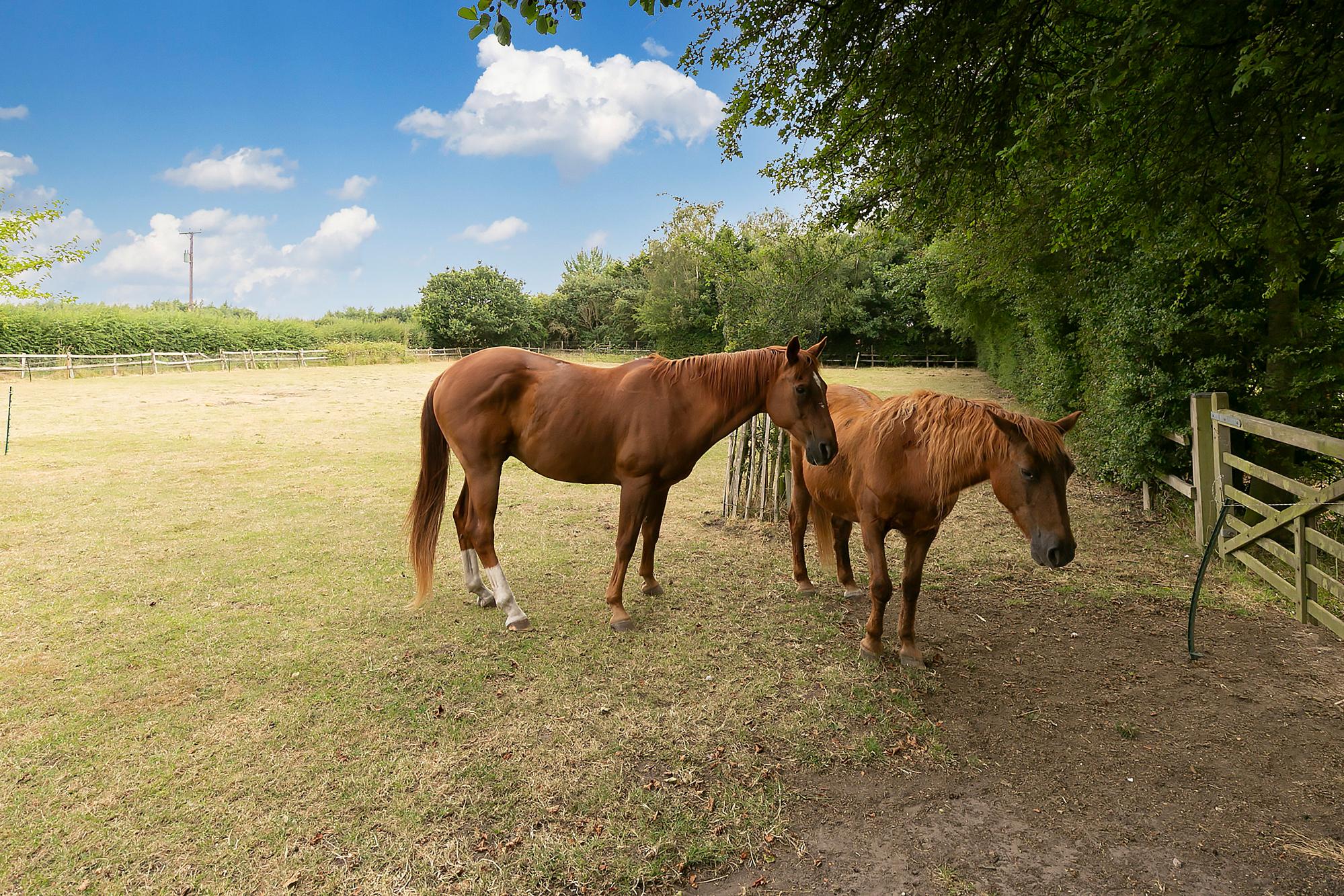 Pond Farm Howden Road, Holme-on-Spalding-Moor, York